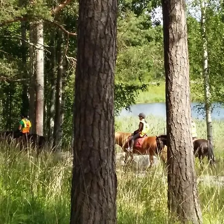 Ilola Holidays Фермерский дом Сюсмя